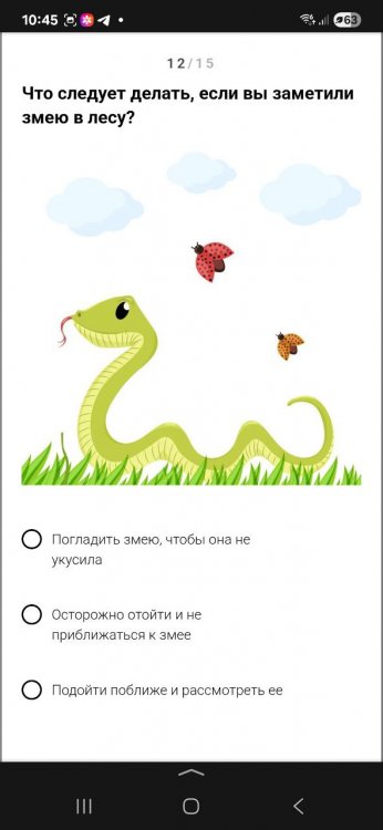 img (3)